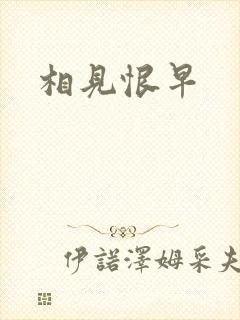 相见恨早封面