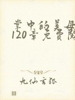 掌中的美母版主120章免费阅读封面