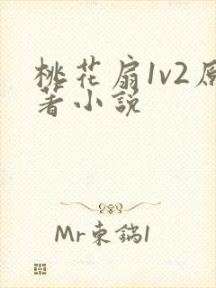 桃花扇1v2原著小说封面
