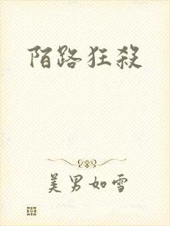 陌路狂杀封面