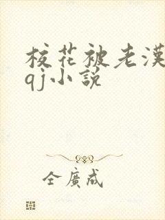 校花被老汉狂肉qj小说封面