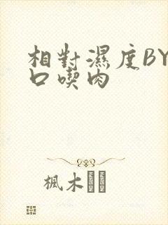 相对湿度BY大口吃肉