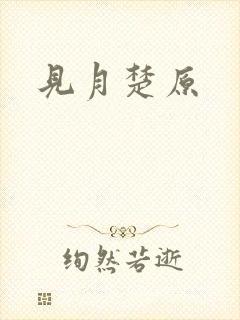 见月楚原封面