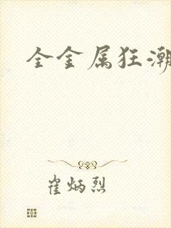 全金属狂潮小说封面