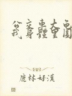 公交车大龟廷进我身体里图封面