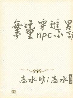 每晚穿进男神的梦里npc小说