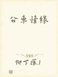 公车情缘
