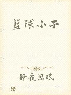篮球小子