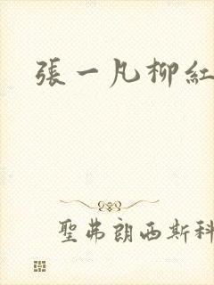 张一凡柳红