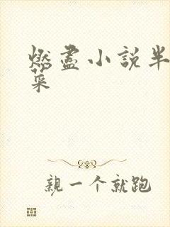 燃尽小说半截白菜