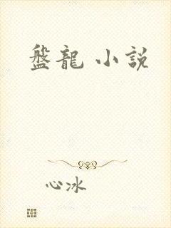 盘龙 小说
