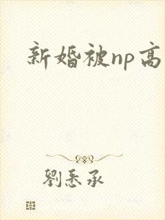 新婚被np高h