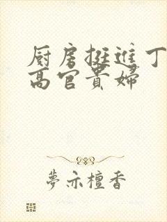 厨房挺进丁字裤高官贵妇