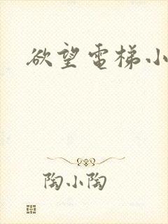 欲望电梯小说