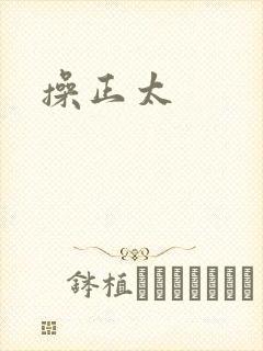 操正太封面