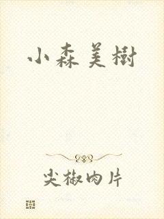 小森美树封面