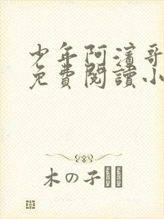 少年阿滨哥全文免费阅读小说封面