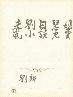 老刘日儿媳妇张岚小说免费阅读