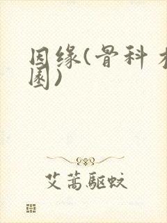 因缘(骨科 校园)封面