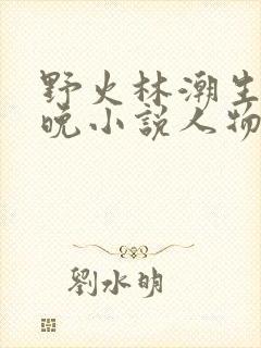 野火林潮生林晚晚小说人物野火封面