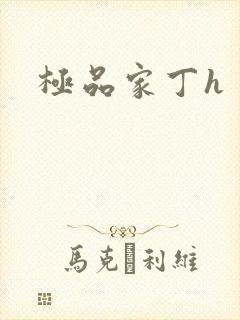 极品家丁h
