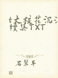 t大校花沉浮录续集TXT