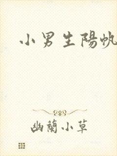 小男生阳帆封面