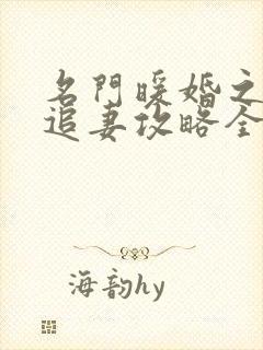 名门暖婚之权爷追妻攻略全文免费阅读封面