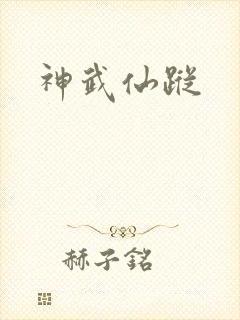 神武仙踪封面