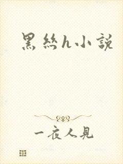 黑丝h小说封面