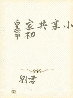 皇家共享小公主宁初