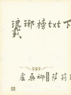 琅琊榜txt下载封面