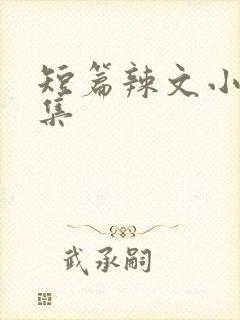 短篇辣文小说合集封面