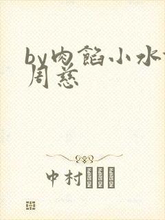 by肉馅小水饺周慈封面