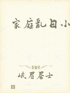 家庭乱日小说