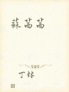 苏茜茜