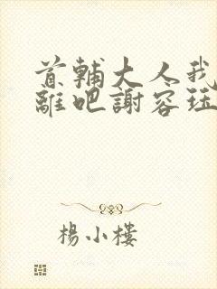 首辅大人我们和离吧谢容珏
