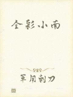 全彩小南封面