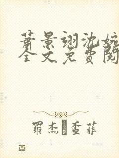 萧景翊沈婉小说全文免费阅读封面