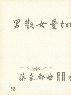 男欢女爱txt封面