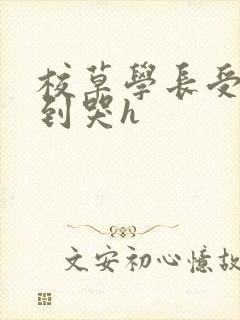 校草学长受被做到哭h封面