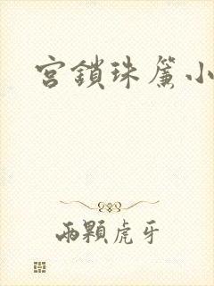 宫锁珠帘小说