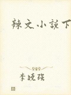 辣文小说下载