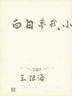 白日梦我小说封面