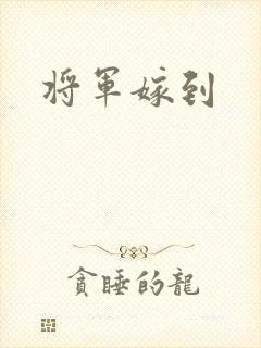 将军嫁到封面