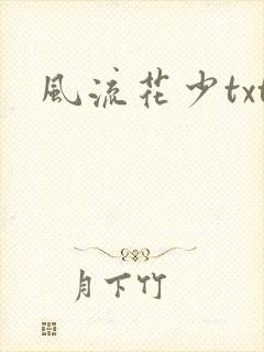 风流花少txt