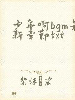 少年啊bgm最新章节txt