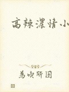 高辣浓情小说