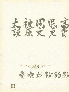 大被同眠高粱小说原文免费阅读