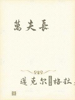 万夫长封面